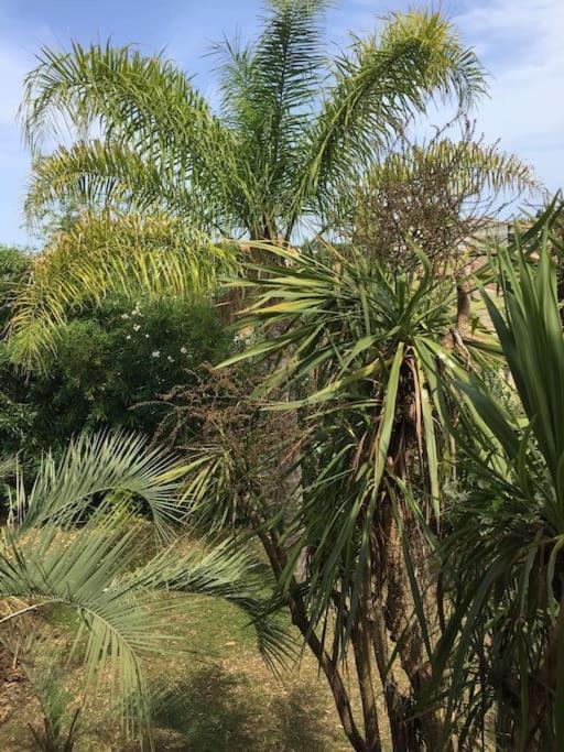 Mare E Monte , Jardin Mediterraneen Et Exotique. جيزنوكسيا المظهر الخارجي الصورة
